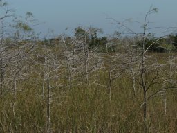 Florida_2007-2008-013